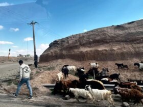 عکس های آسوشیتدپرس از کنار جاده تهران به مرز ترکیه