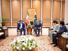 دیدار همتی با وزیر خارجه پاکستان