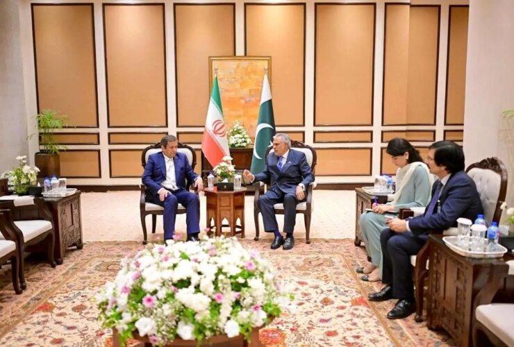 دیدار همتی با وزیر خارجه پاکستان 25 دیدار همتی با وزیر خارجه پاکستان