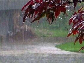 بارش متناوب در تهران/کاهش دما تا چهارشنبه