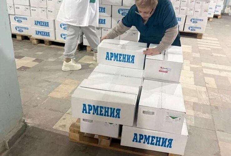 محموله اهدایی ارمنستان به هلال احمر ایران 18 محموله اهدایی ارمنستان به هلال احمر ایران