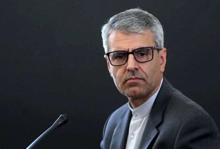 بقایی حمله به کاروان صمود را محکوم کرد