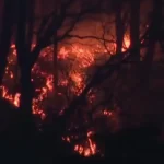 آتش سوزی در شمال شرقی ژاپن بیش از 2500 نفر را آواره کرد