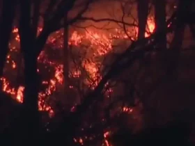 آتش سوزی در شمال شرقی ژاپن بیش از 2500 نفر را آواره کرد