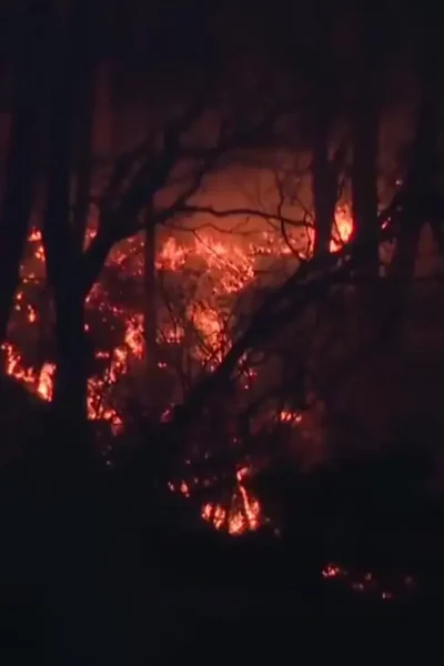 آتش سوزی در شمال شرقی ژاپن بیش از 2500 نفر را آواره کرد