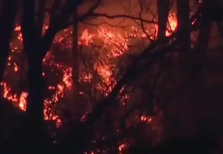 آتش سوزی در شمال شرقی ژاپن بیش از 2500 نفر را آواره کرد