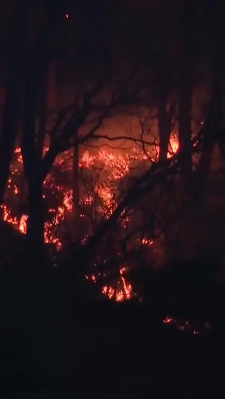 آتش سوزی در شمال شرقی ژاپن بیش از 2500 نفر را آواره کرد