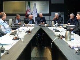 اظهارات پزشکان در خصوص واگذاری اختیارات به مدیران استانی