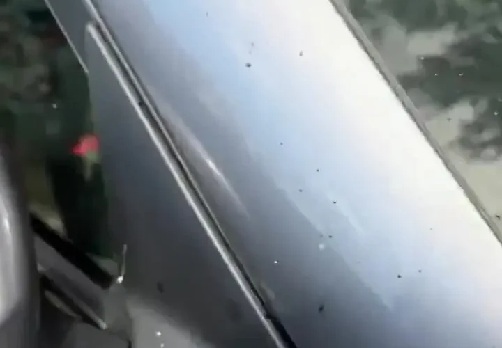 باران نفت در روسیه پس از حمله اوکراین