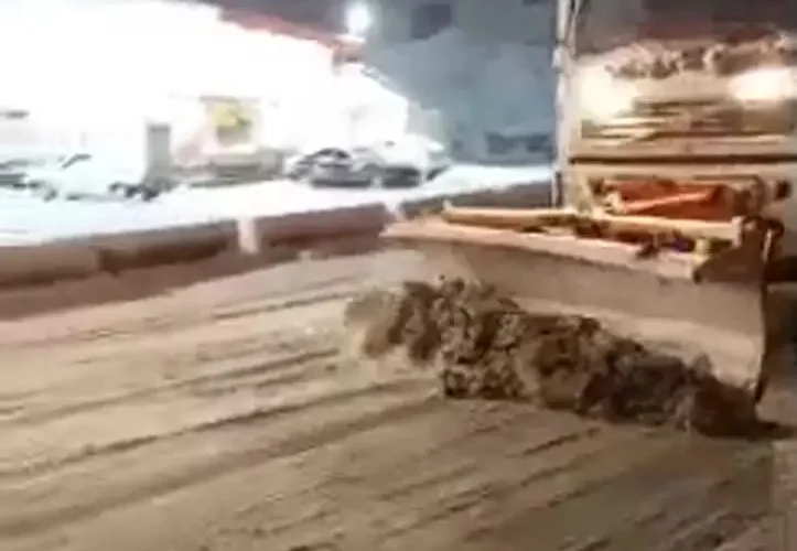 تصاویر برف روبی و نمک پاشی در محور کرج - کندوان