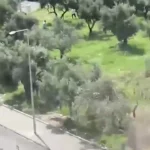 تصاویری وحشتناک از حمله مسلحانه به مدرسه ای در جنوب ترکیه