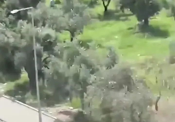 تصاویری وحشتناک از حمله مسلحانه به مدرسه ای در جنوب ترکیه