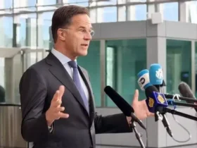 دبیرکل ناتو: ما از آمریکا حمایت می کنیم