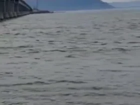 دریاچه ارومیه احیا شد