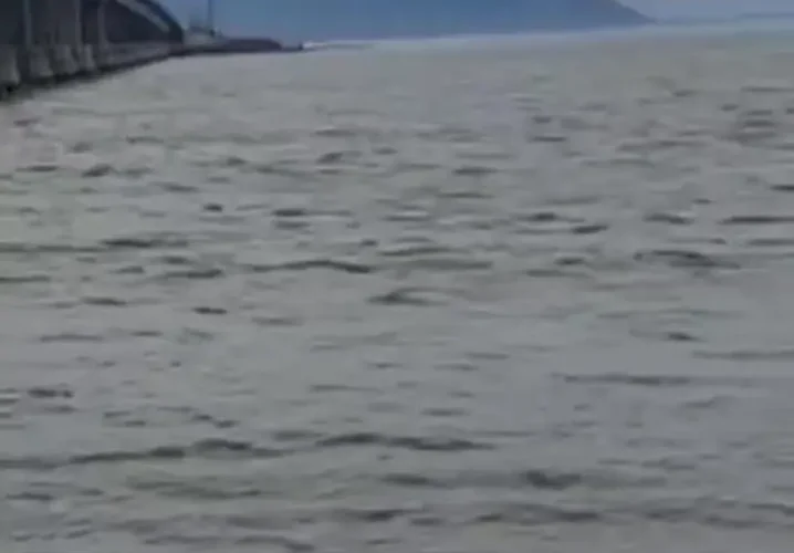 دریاچه ارومیه احیا شد