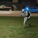 ربات انسان نما خوک های وحشی را از محله بیرون کرد