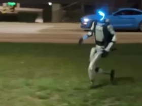 ربات انسان نما خوک های وحشی را از محله بیرون کرد