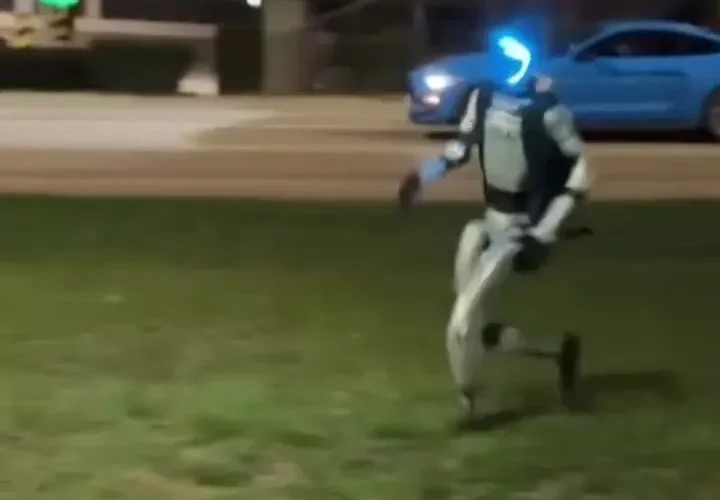 ربات انسان نما خوک های وحشی را از محله بیرون کرد