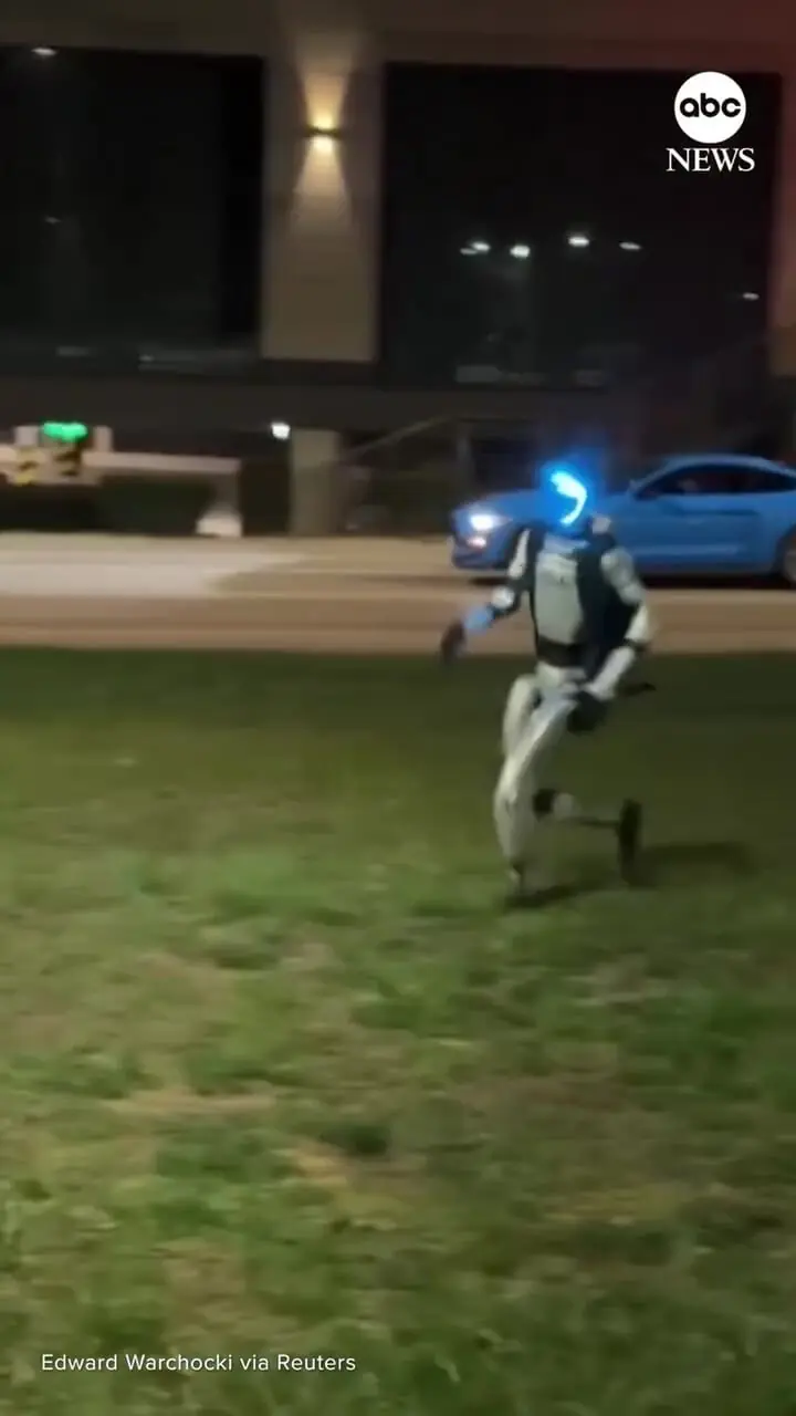 ربات انسان نما خوک های وحشی را از محله بیرون کرد