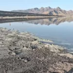 سطح آب دریاچه ارومیه; افزایش 5 برابر آب ...