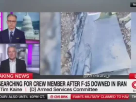 سناتور آمریکایی: با خلبان آمریکایی مطابق با قوانین بین المللی رفتار کنید