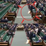 سگ خواب آلود در پارلمان بریتانیا خبرساز شد