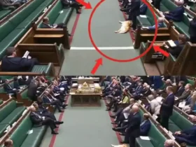 سگ خواب آلود در پارلمان بریتانیا خبرساز شد