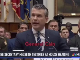 محکومیت هاگست در مورد اخراج ژنرال های آمریکایی 9 محکومیت هاگست در مورد اخراج ژنرال های آمریکایی