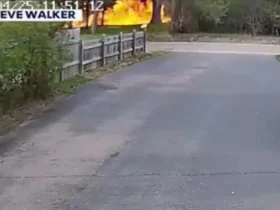 مرگ یک قانونگذار آمریکایی در سانحه هوایی