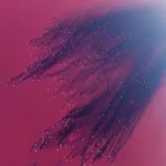 نمایی خیره کننده از دریاچه مهارلو