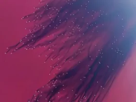 نمایی خیره کننده از دریاچه مهارلو