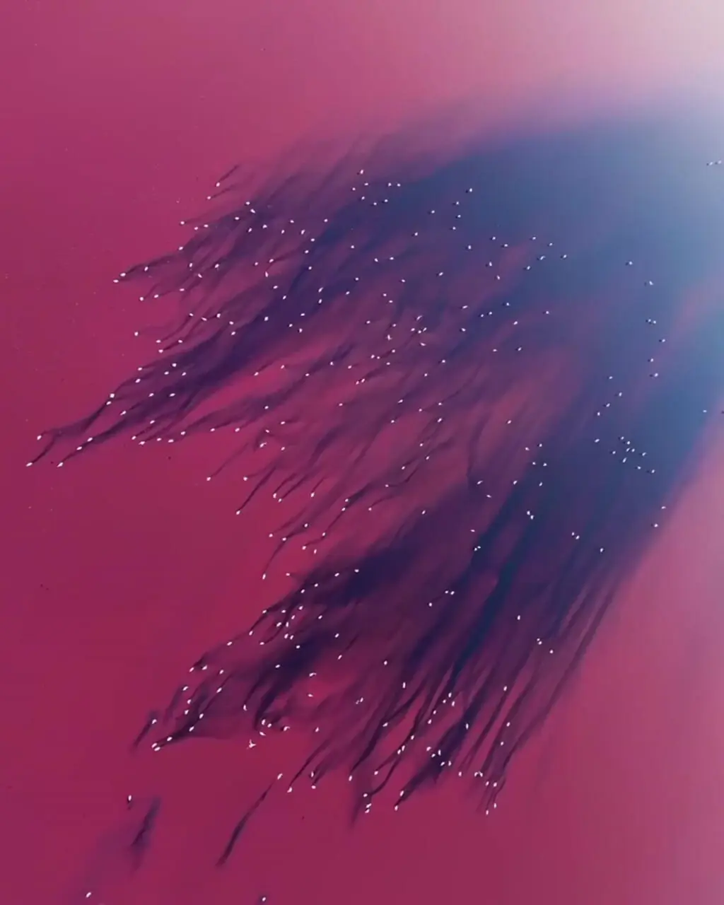 نمایی خیره کننده از دریاچه مهارلو