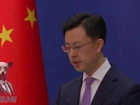 واکنش چین به ادعای ارسال سلاح به ایران 9 واکنش چین به ادعای ارسال سلاح به ایران