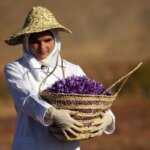 قیمت زعفران در بازار چقدر است؟
