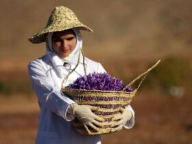 قیمت زعفران در بازار چقدر است؟