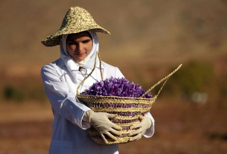 قیمت زعفران در بازار چقدر است؟