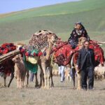 از «علف» تا یونسکو؛ این مهاجرت جهانی می شود