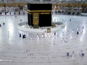 جزئیات پوشش بیمه ای زائران 1405 تاماتو اعلام شد