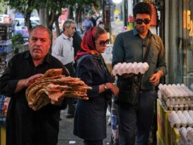 لبنیات، روغن و تخم مرغ ارزان به بازار می رود