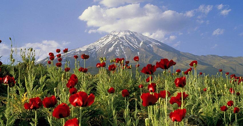 از خرید گلاب گرفته تا سرگردانی در دشت های چشمه؛ فروردین کجا بریم؟ / 9 مکان جذاب برای یک سفر یک روزه / راهنمای سفر بهاری نزدیک تهران