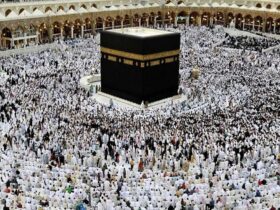 آخرین وضعیت صدور روادید برای برخی از زائران ایرانی/سعودی: هنوز برای 115 زائر روادید اعطا نشده است. 49 آخرین وضعیت صدور روادید برای برخی از زائران ایرانی/سعودی: هنوز برای 115 زائر روادید اعطا نشده است.