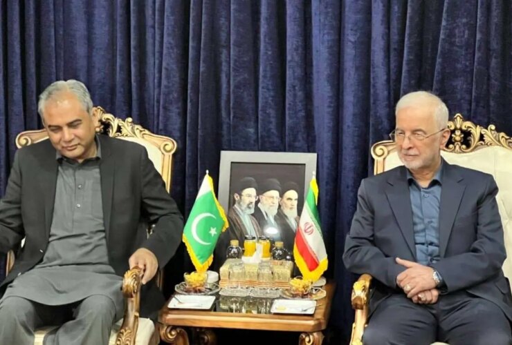 بازگشت وزیر کشور پاکستان به ایران