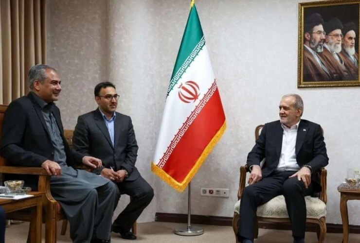جزئیات دیدار پزشکان با وزیر کشور پاکستان