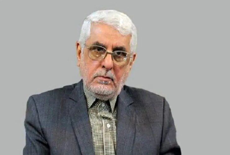 حسن هانی زاده