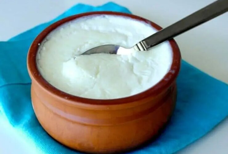 ماست خانگی