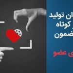 ترویج فرهنگ اهدای عضو از طریق سینمای کوتاه/ فراخوان تولید فیلم کوتاه با موضوع اهدای عضو