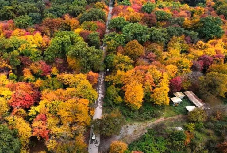 هشدار آتش سوزی در هیرکانی