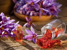 آمارهای عجیبی از صادرات زعفران ایران به افغانستان منتشر می شود