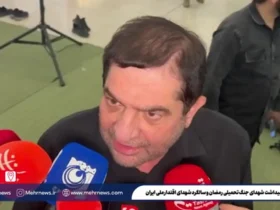 اظهارات مخبر در مورد سلاحی که قابل دفاع نیست