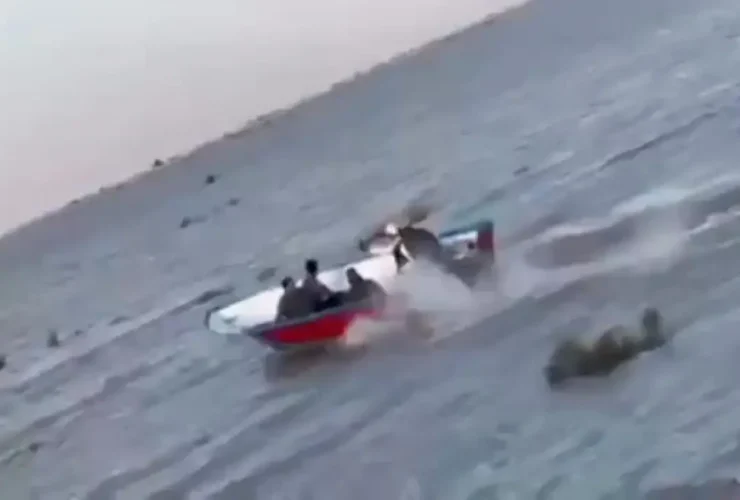 این یک معجزه برای دریاچه هامون بود